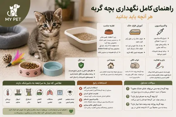 بچه‌گربه‌ای در محیطی امن و آماده برای نگهداری، در کنار وسایل ضروری مانند ظرف غذا، آب، خاک و اسباب‌بازی؛ تصویری آموزشی که اصول اولیه مراقبت، تغذیه و رشد سالم بچه گربه را نشان می‌دهد. لوگوی MY PET در گوشه تصویر قرار گرفته است.